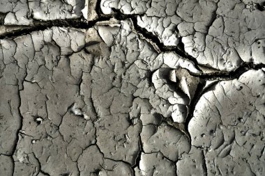 black and white photo. dry cracked earth top view