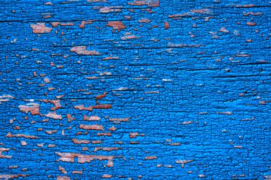 ağaçta eski kırık yeşil boya