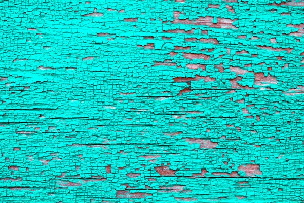 ağaçta eski kırık yeşil boya