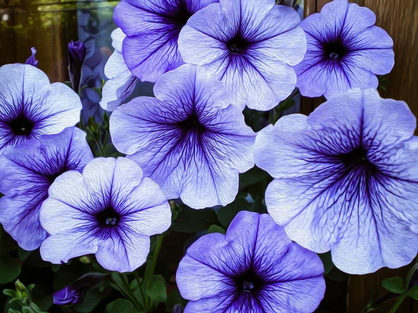 Beautiful Purple Petunia Flowers Dark Veins Imitation Oil — Stock Photo, Image