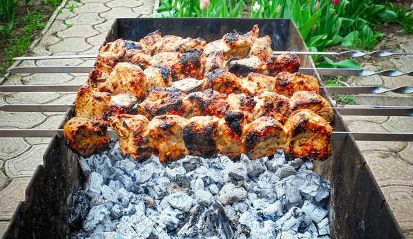 Spiedini Maiale Alla Griglia Con Carboni Giardino — Foto Stock