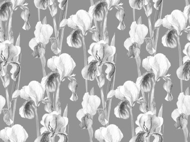 Siyah ve beyaz, kusursuz desenli, narin irisler.