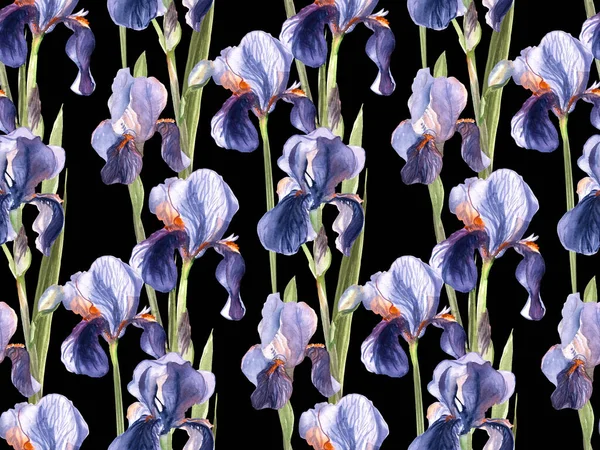 Modello senza cuciture di fiori di iris dipinti ad acquerello su sfondo nero — Foto Stock