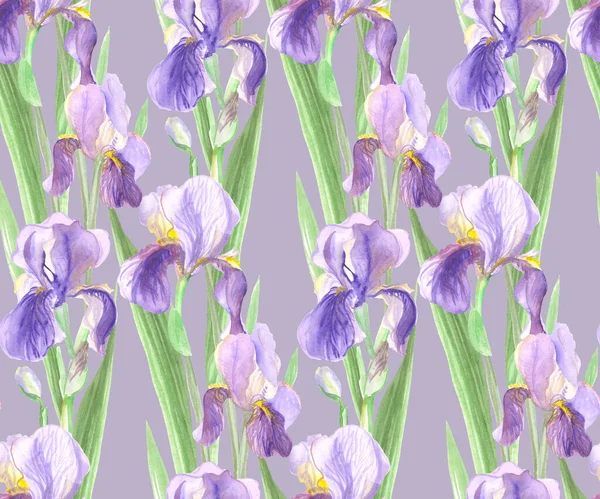 Modello senza soluzione di continuità di fiori di iris dipinti ad acquerello con fiori viola — Foto Stock