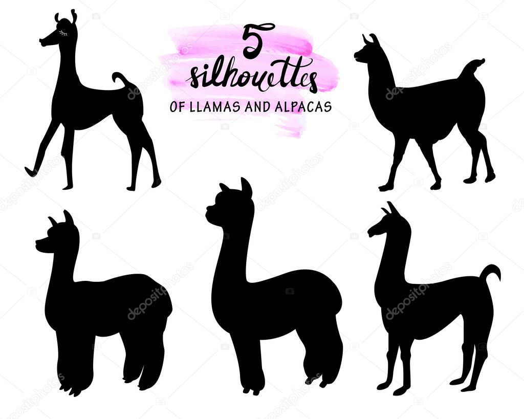 set of 5 silhouettes of llamas and alpacas realistic and stylized on a white background