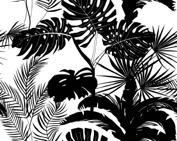Tropikal Bitki Siluetlerinin Siyah Beyaz Desenleri Palmiye Yaprakları Canavar Muz — Stok Vektör