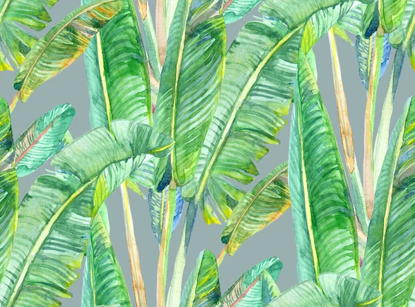 pattern with watercolor banana palms in green shades on a gray background
