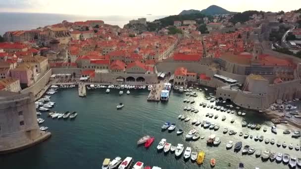 Aerial View Walls Dubrovnik Famous Medieval City Pila Gate Minceta — Stock Video