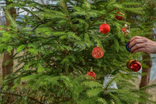 Arbre Noël Décoré Jouets — Photo