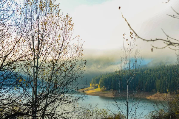 湖の秋の朝 — ストック写真
