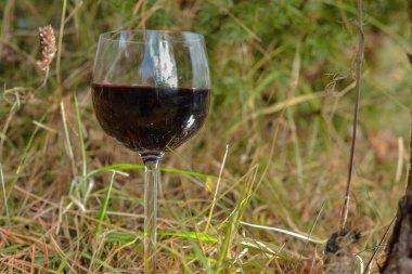 arka plan üzerinde kırmızı şarap