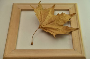 Ahşap çerçevedeki yaprak