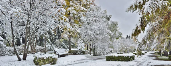 Panorama över stadsparken gränden efter det första snöfallet. — Stockfoto