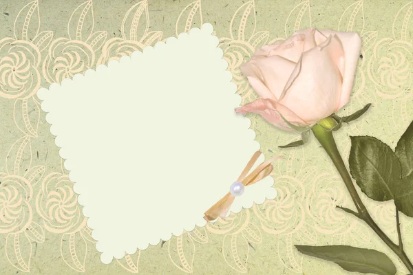 Papel romántico vintage en blanco con rosa rosa — Foto de Stock