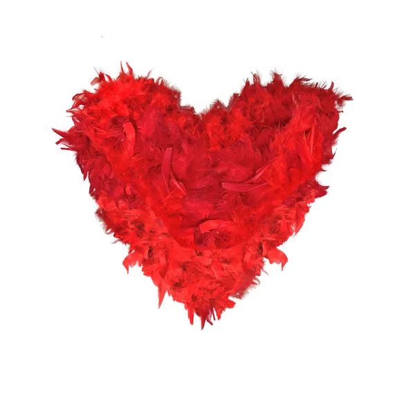 Червоне пір'я форма серця — стокове фото