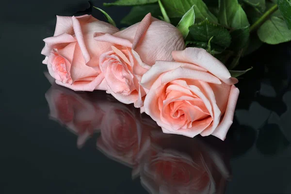 Růžové růže na černém pozadí — Stock fotografie