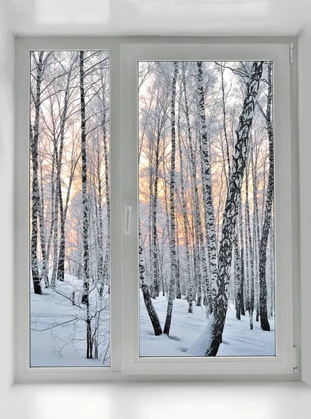 Mattina invernale nevosa sotto la finestra Immagine Stock