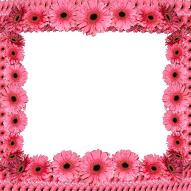 Pembe gerbera üzerinden çerçeve çiçek