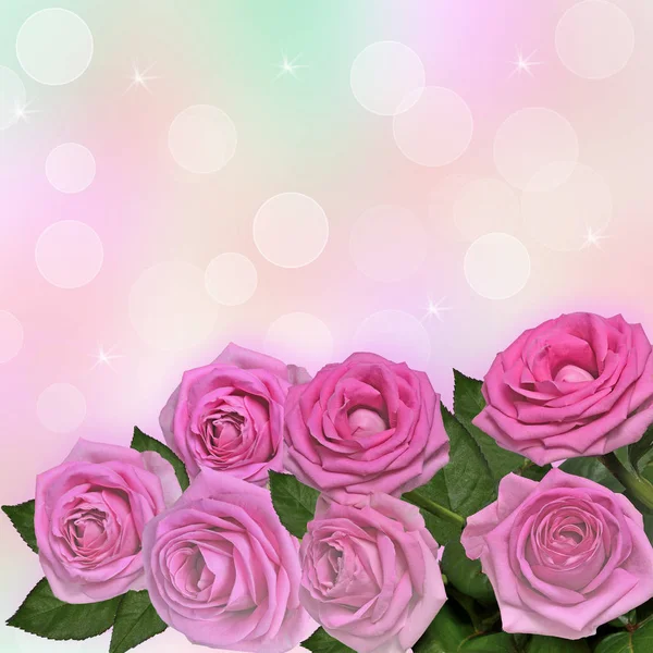Růžové růže blahopřání — Stock fotografie