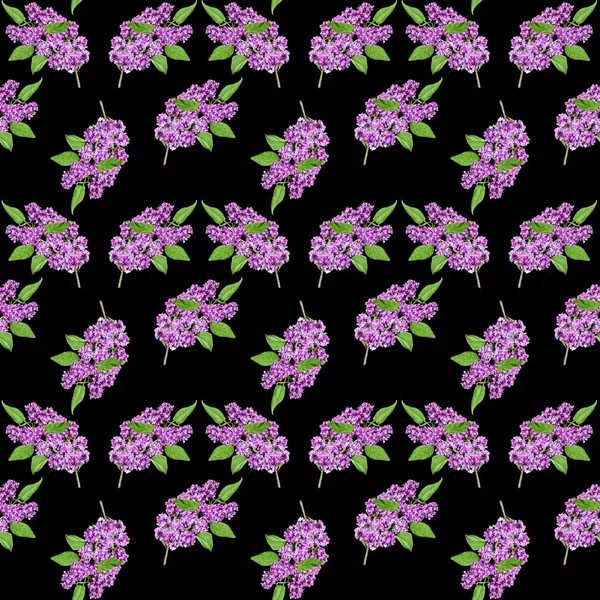 紫丁香鲜花分支与树叶的花纹 — 图库照片