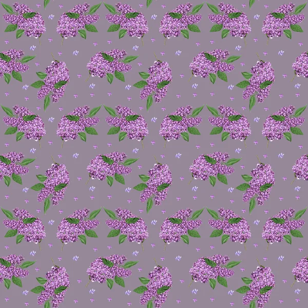 紫丁香鲜花分支与树叶的花纹 — 图库照片