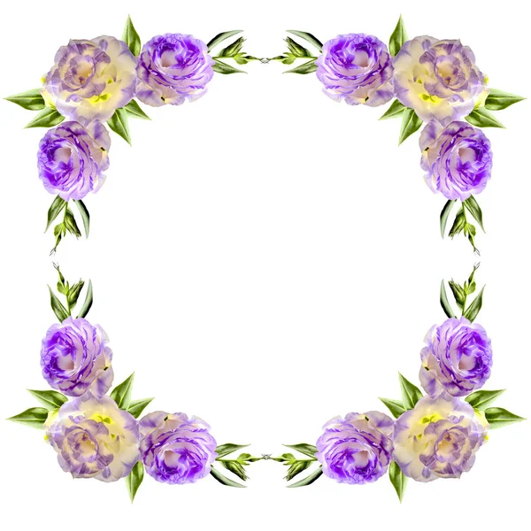 Vintage floral frame from corners with purple eustoma flowers — Stock Photo, Image