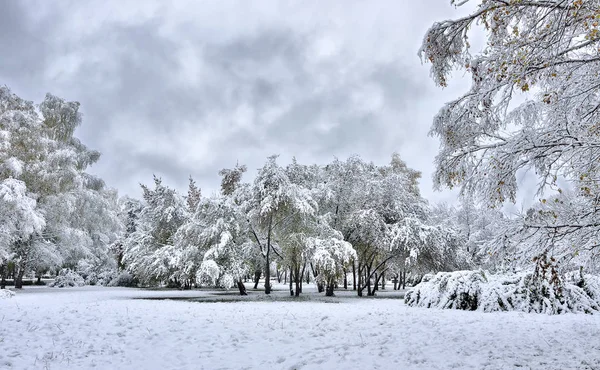 Городской парк осенью после первого снегопада — стоковое фото