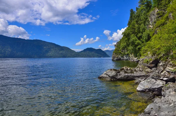 Teletskoye veya altın göl. Altay Dağları yaz manzara