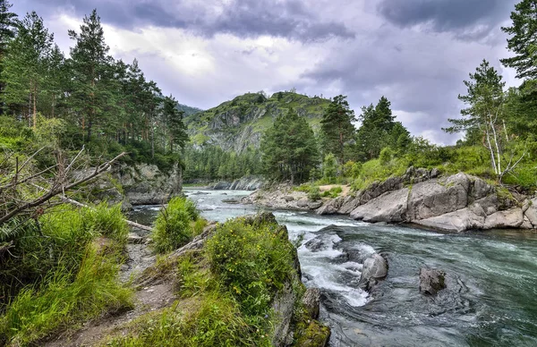 Paisagem pitoresca da montanha do verão com rio rápido entre a rocha — Fotografia de Stock