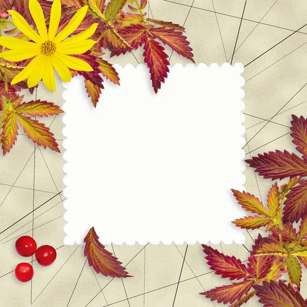 Podzimní Vinobraní grunge pozadí s prázdnou kartou — Stock fotografie