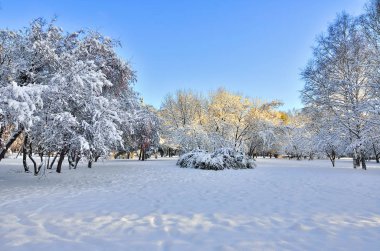 Rhe Şehir Parkı güneşli kış manzarası