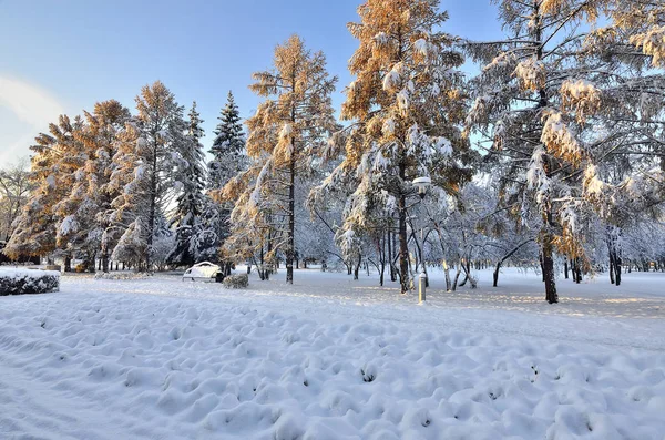 Park miejski zaułek po pierwszym śniegu — Zdjęcie stockowe