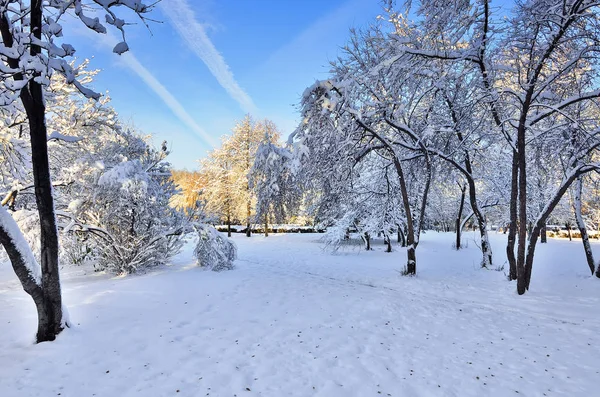 Peisaj însorit de iarnă în parcul orașului — Fotografie, imagine de stoc