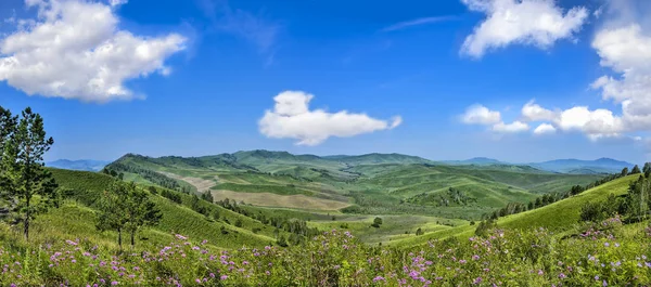 Живописный горный панорамный солнечный пейзаж зеленой горы — стоковое фото