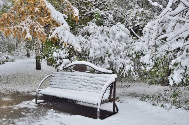 Tezgah ilk karla kaplı ile sonbahar Park. 