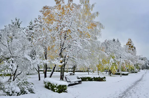 Culorile strălucitoare ale parcului de toamnă acoperă prima zăpadă — Fotografie, imagine de stoc