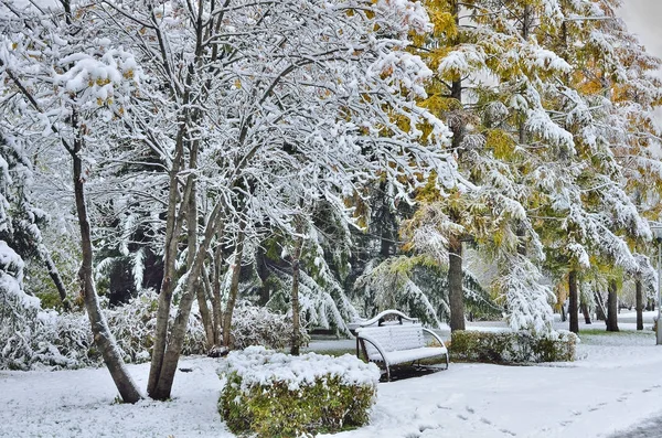 Panchina nel parco autunnale con prima neve coperta . — Foto Stock