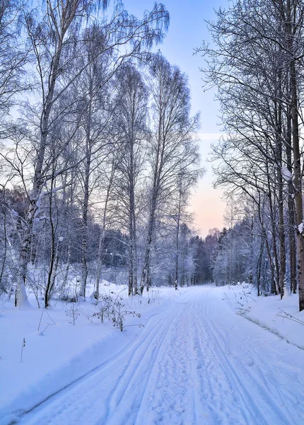 Нежное зимнее розовое утро на лесной дороге - зимний пейзаж — стоковое фото