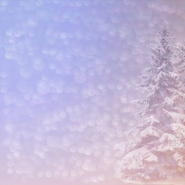 Weihnachten Hintergrund mit verschwommenen schneebedeckten Fichten und perlende Bokeh — Stockfoto