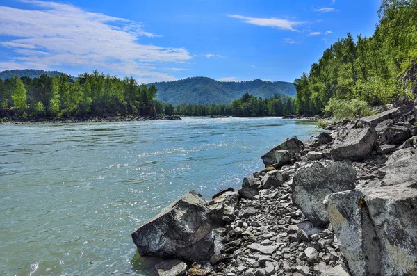 Letní krajina na skalnatém břehu řeky rychlého sibiřský Katun — Stock fotografie