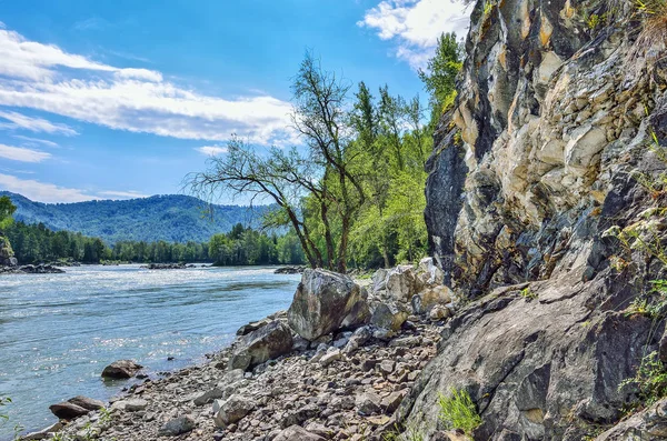 Letní krajina na skalnatém břehu řeky rychlého sibiřský Katun — Stock fotografie