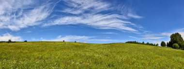 Panoramik manzaralı güzel gökyüzü ile çiçeklenme yaz çayır