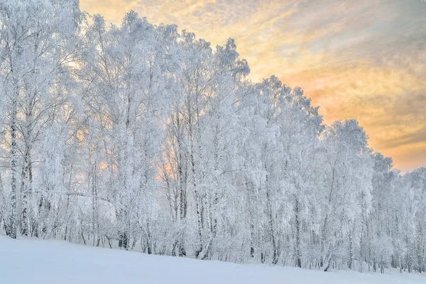 Sanfte Farben eines frostigen Winterabends in den Bergen — Stockfoto