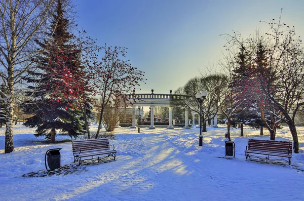 Zimowy spacer po parku pokrytych śniegiem miasto — Zdjęcie stockowe