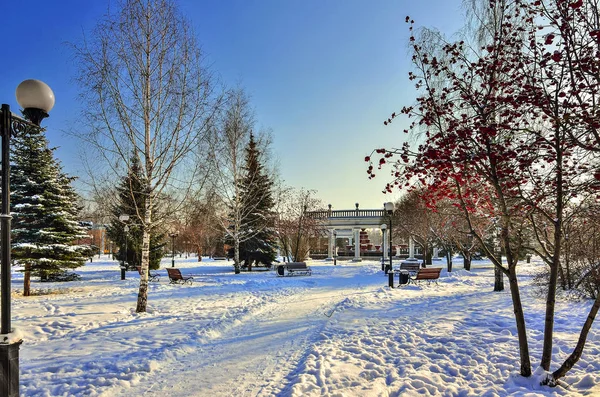 Winterspaziergang durch den verschneiten Stadtpark — Stockfoto