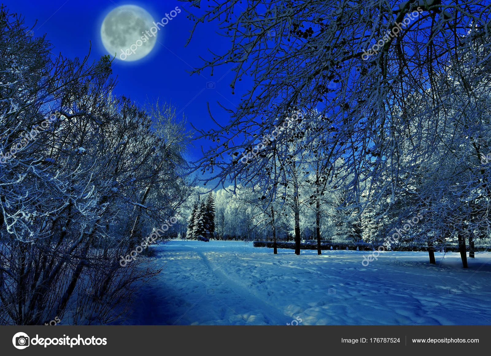 Full Moon Over Winter Park Beautiful Night Landscape Stock Photo C Ruvo233 176787524