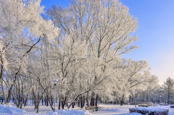 Holzbank im winterlichen Stadtpark bei sonnigem Wetter — Stockfoto