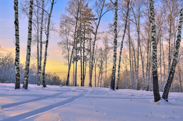 Lever de soleil dans la forêt d'hiver — Photo