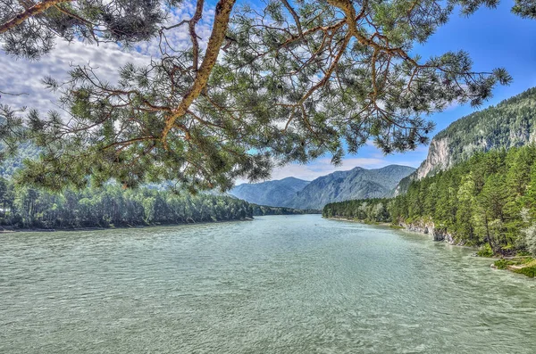 Incredibile fiume di montagna turchese tra le rive boscose - somma soleggiata — Foto Stock