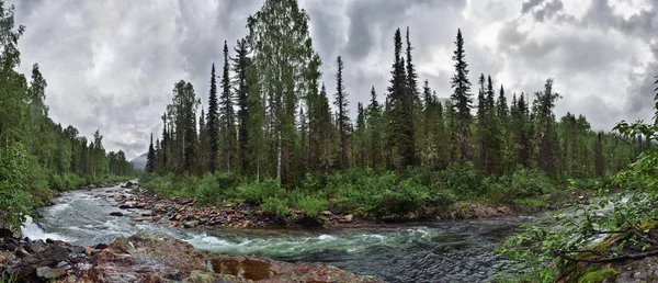 Panorama di fiume di montagna che scorre veloce tra fitte foreste e — Foto Stock